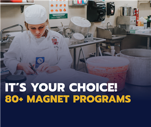 It's Your Choice  80+Magnet Programs 
